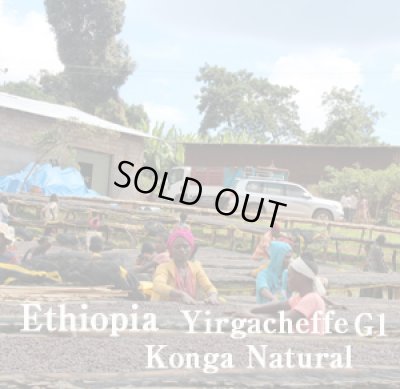画像1: エチオピア・イルガチェフェG1コンガ／ナチュラル500g