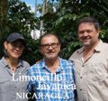 ニカラグア・リモンシリョ農園ジャバニカ／ナチュラル1kg