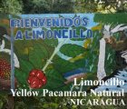 他の写真1: ニカラグア・リモンシリョ農園ジャバニカ／ナチュラル200g