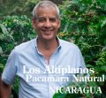 ニカラグア・アルチプラノス農園パカマラ・ナチュラル500g