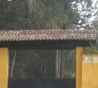 他の写真3: グァテマラ・レタナ農園レッドブルボン1kg
