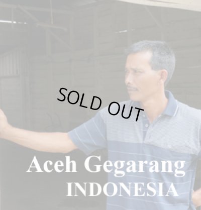 画像1: インドネシア マンデリン・スマトラ アチェ ゲガラン1kg（￥756/100ｇ）