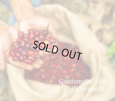 画像1: グァテマラ JASフェデコベラ 1kg（604円/100ｇ）