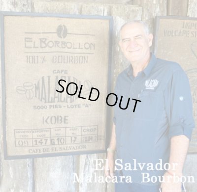 画像1: エルサルバドル・マラカラA農園ブルボン1kg（668円/100ｇ）