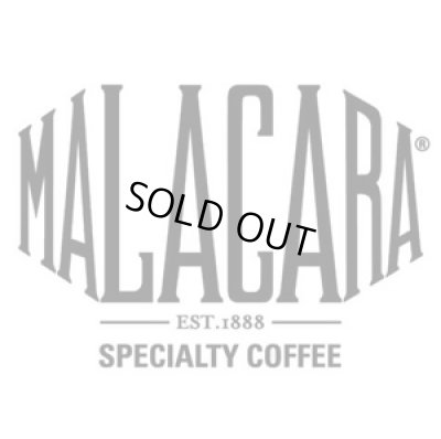 画像3: エルサルバドル・マラカラA農園ブルボン1kg（668円/100ｇ）