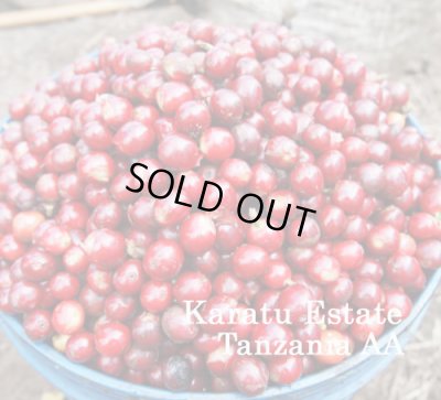 画像1: タンザニアAA・カラツ農園ブルボン1kg（736円／100g）