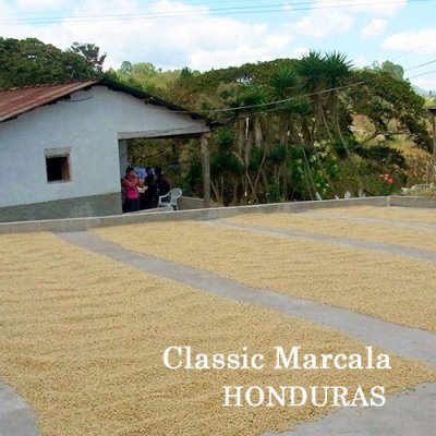 画像1: ホンジュス・クラシック マルカラ500ｇ