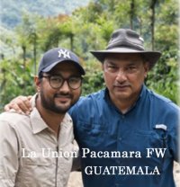 グァテマラ・ウニオン農園パカマラFW200ｇ