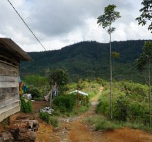 他の写真3: 深煎りマンデリン・スマトラ アチェ500g