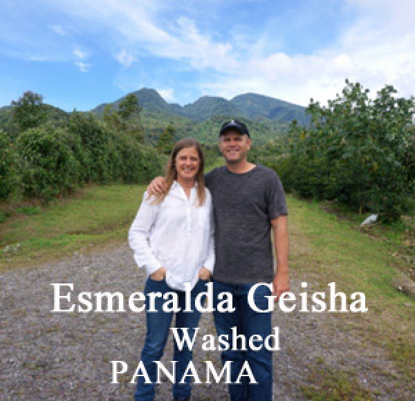 画像1: パナマ・エスメラルダ農園ゲイシャ／ウォッシュド200g (1)
