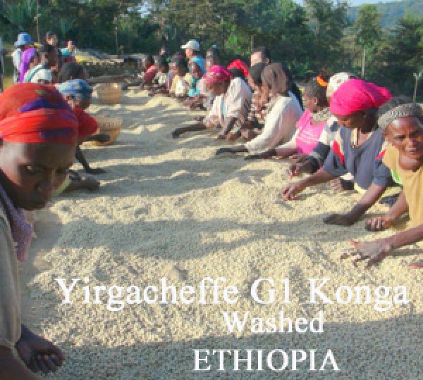 画像1: エチオピア・イルガチェフェG1コンガ／ウォッシュド500g (1)