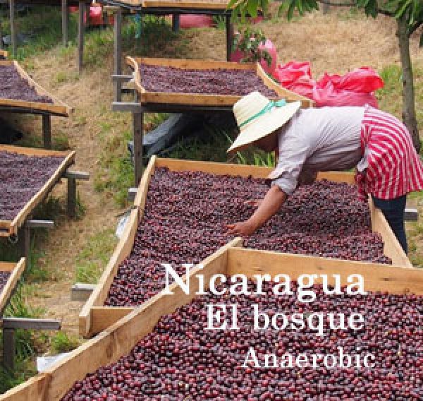 画像1: ニカラグア・エル ボスケ農園アナエロビック500g (1)