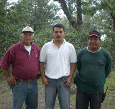画像2: グァテマラ・レタナ農園レッドブルボン500g