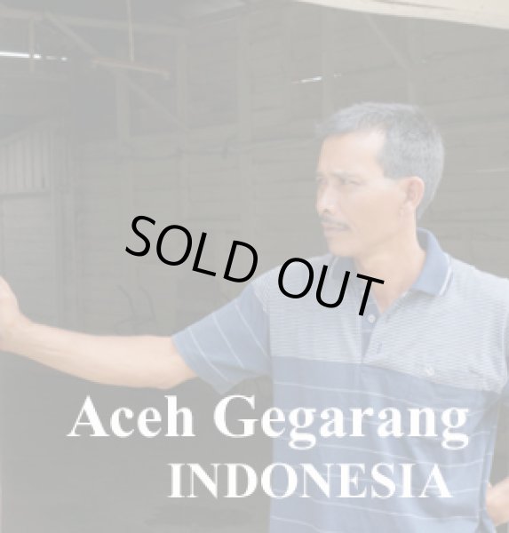 画像1: インドネシア マンデリン・スマトラ アチェ　 ゲガラン500g (1)