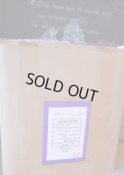 画像3: 【特別価格50％OFF】グァテマラ2024COE#3 ラ・シーマ農園500g（870円/100ｇ） (3)