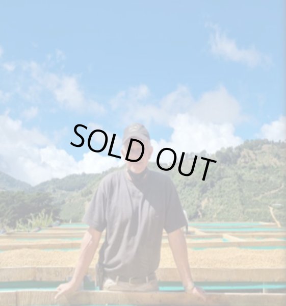 画像2: コスタリカ・サンタ ロサ1900マチョ モカYH500ｇ (2)