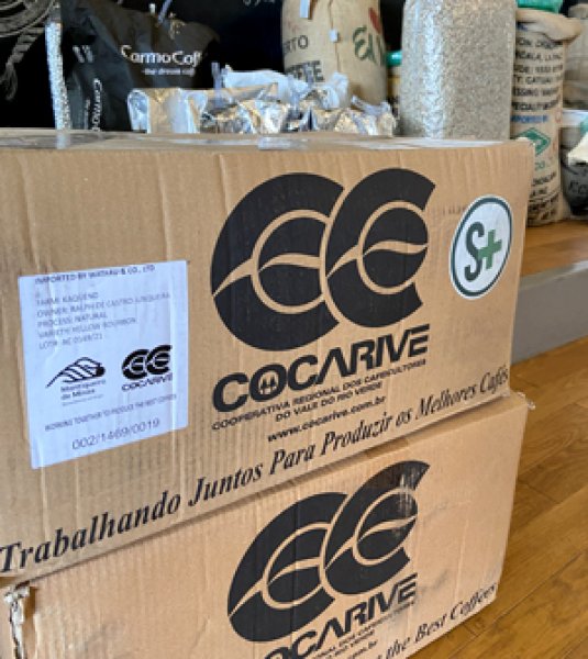 画像4: ブラジル・カケンジ農園イエローブルボン／ナチュラル200g (4)