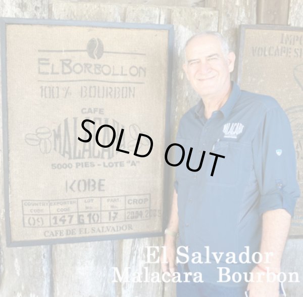 画像1: エルサルバドル・マラカラA農園ブルボン1kg（668円/100ｇ） (1)