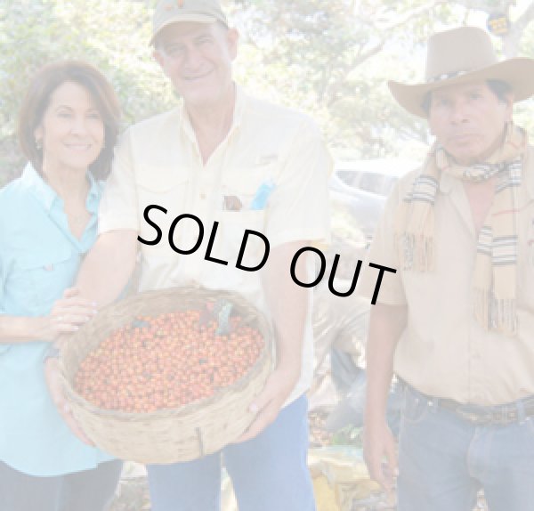 画像2: エルサルバドル・マラカラA農園ブルボン1kg（668円/100ｇ） (2)