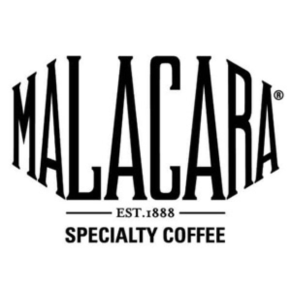 画像3: エルサルバドル・マラカラA農園ブルボン200ｇ (3)