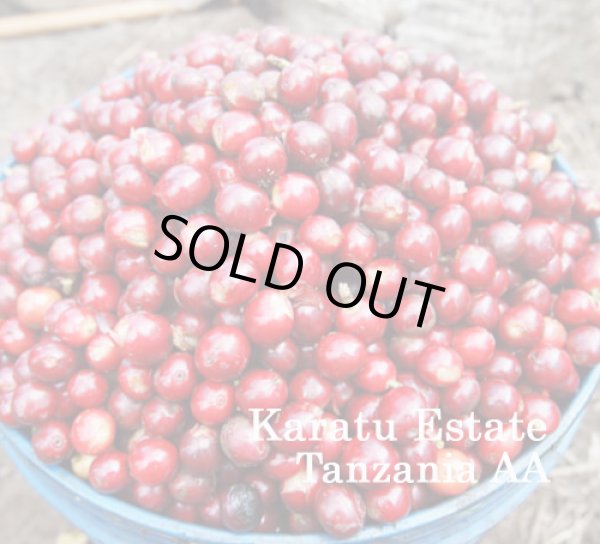 画像1: タンザニアAA・カラツ農園ブルボン1kg（736円／100g） (1)