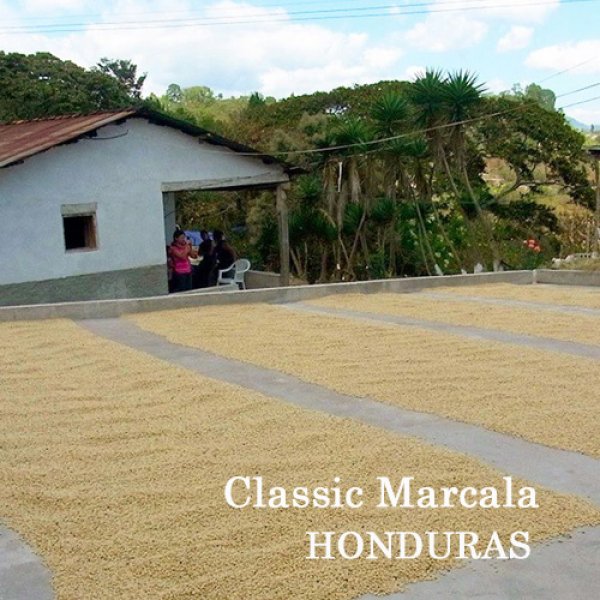 画像1: ホンジュス・クラシック マルカラ500ｇ (1)